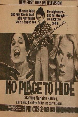 No Place to Hide's poster