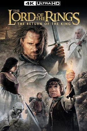The Lord of the Rings: The Return of the King's poster