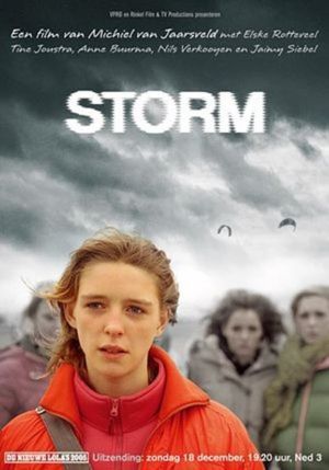 Storm's poster