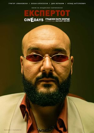 The Expert's poster