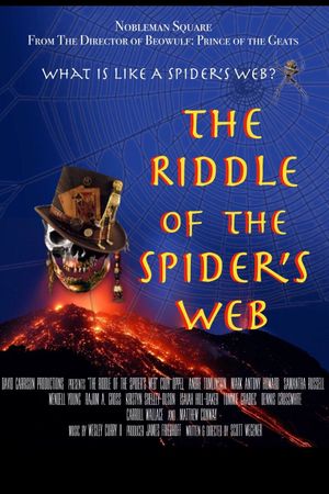 The Riddle of the Spider's Web's poster