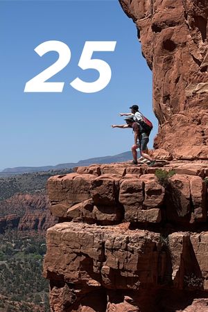 25's poster