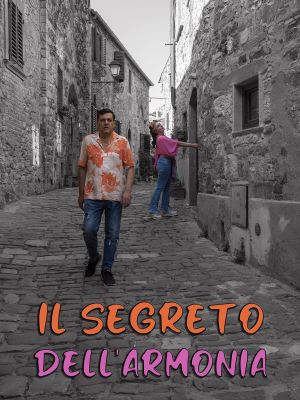 Il segreto dell'armonia's poster