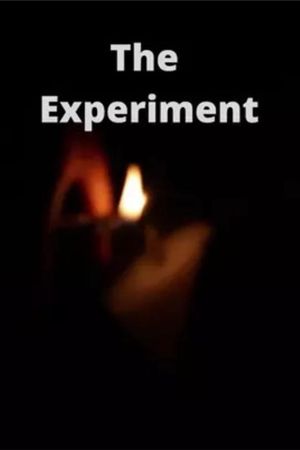 The Experiment's poster