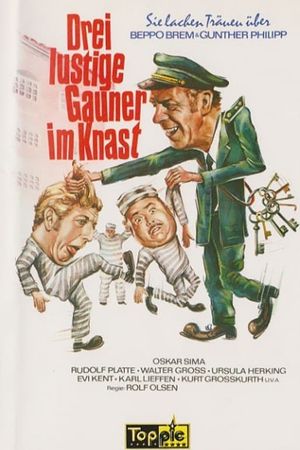 Verrückt und zugenäht's poster