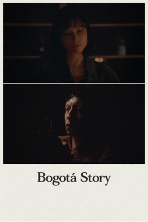 Bogotá Story's poster