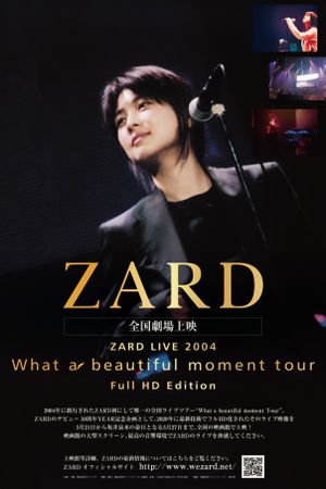 ZARD LIVE 2004“What a beautiful moment”（Full HD Edition）'s poster