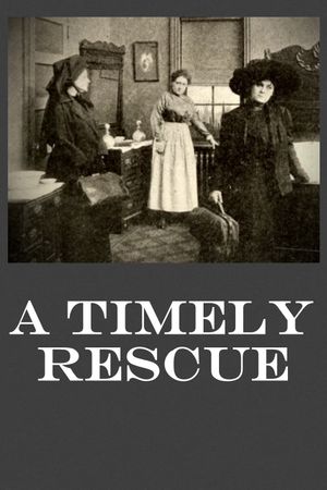 A Timely Rescue's poster image