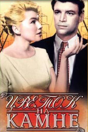 Flower on the Stone's poster