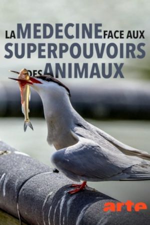 Wild Medicine: Animals' Superpowers's poster