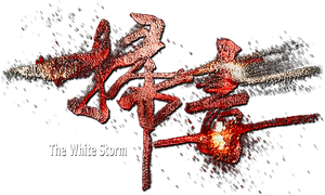The White Storm's poster