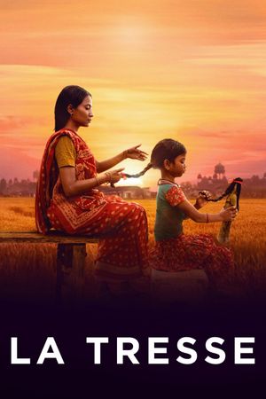 The Braid's poster