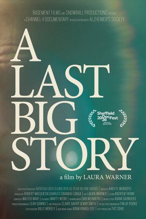 A Last Big Story's poster image