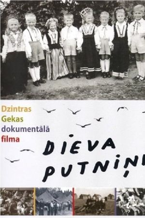 Dieva putnini's poster