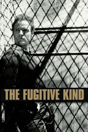 The Fugitive Kind's poster