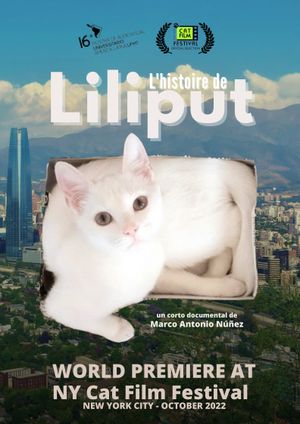 Liliput's Story's poster image