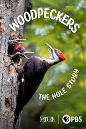 Woodpeckers: The Hole Story's poster