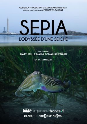 Sépia, l'odyssée d'une seiche's poster