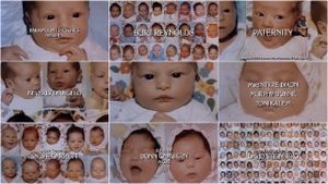 Paternity's poster