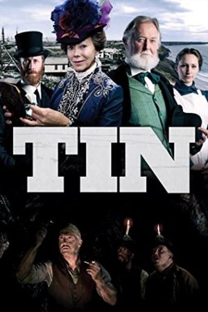 Tin's poster