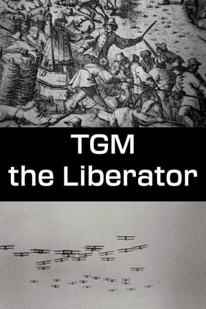 TGM the Liberator's poster