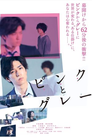 Pink and Gray's poster