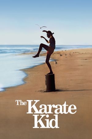 The Karate Kid's poster