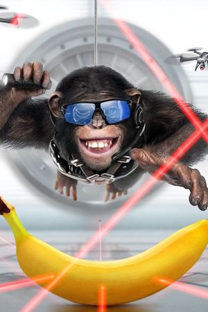 C.I.Ape's poster