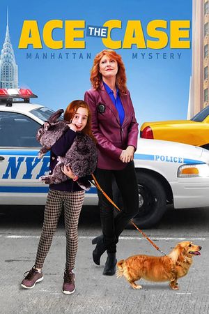 Ace the Case's poster