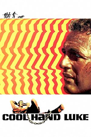 Cool Hand Luke's poster