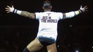 CM Punk: Best in the World's poster