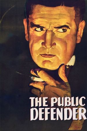 The Public Defender's poster