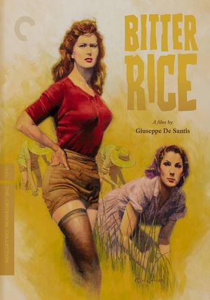 Bitter Rice's poster