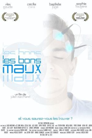 Les bons maux's poster