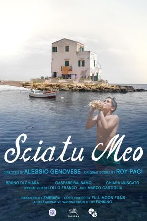 Sciatu meo's poster