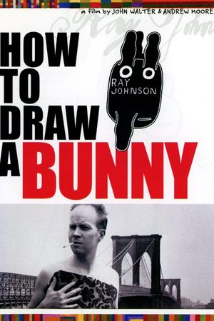How to Draw a Bunny's poster