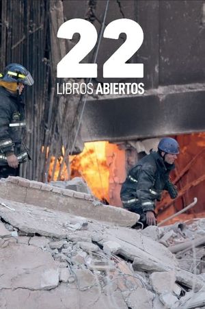 22 libros abiertos's poster