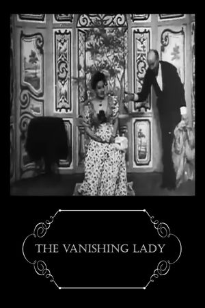 The Vanishing Lady's poster