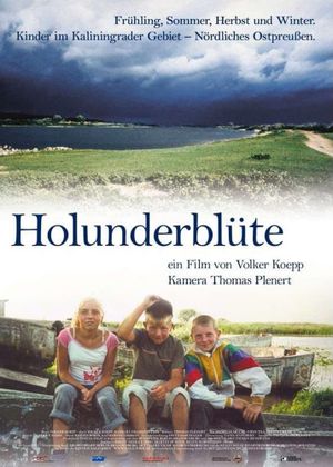 Holunderblüte's poster