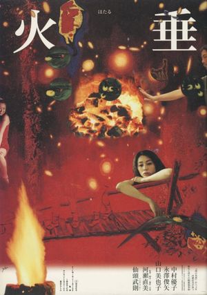 Firefly's poster