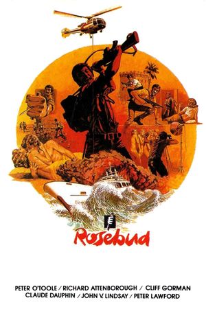 Rosebud's poster