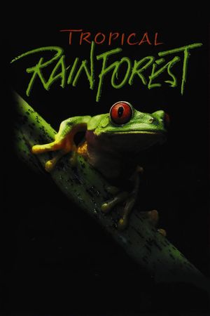 Tropical Rainforest's poster