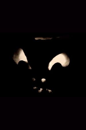 Jack-O-Lanterns's poster