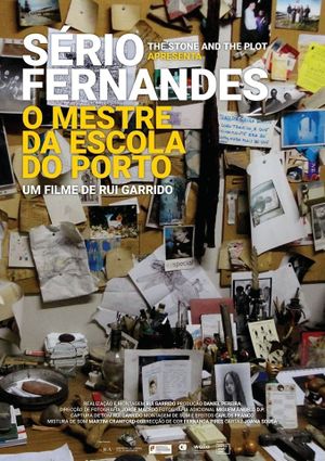 Sério Fernandes - O Mestre da Escola do Porto's poster