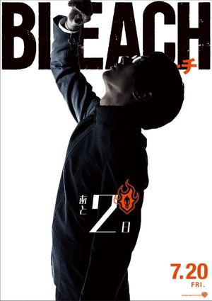 Bleach's poster