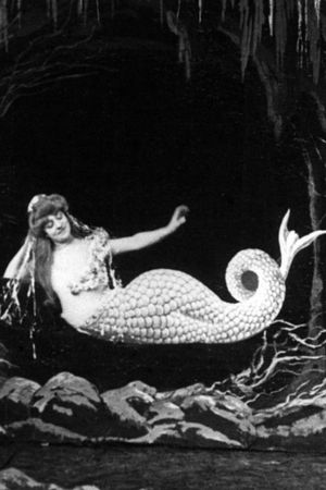 The Mermaid's poster
