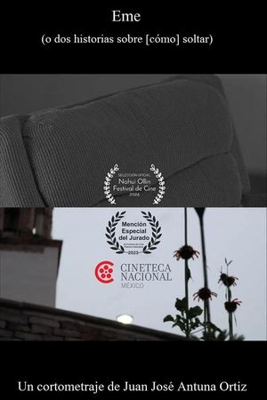 Eme (o dos historias sobre [cómo] soltar)'s poster