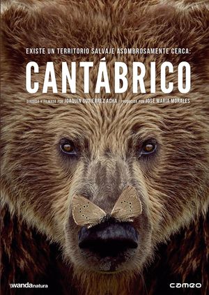 Cantábrico's poster