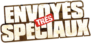 Special Correspondents's poster