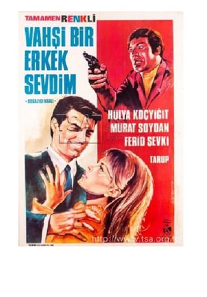 Vahsi bir erkek sevdim's poster